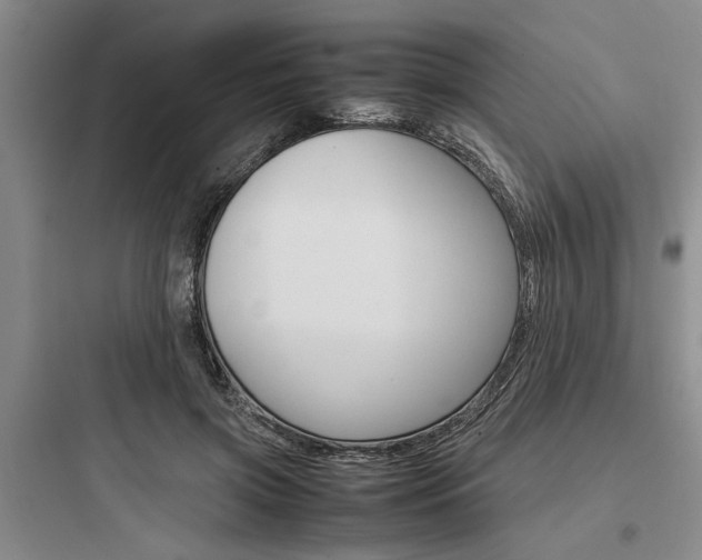 X0000097960549200803241044