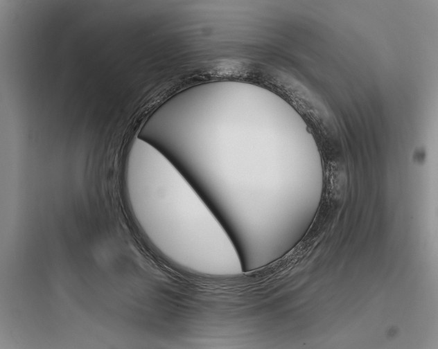 X0000097960550200803241044