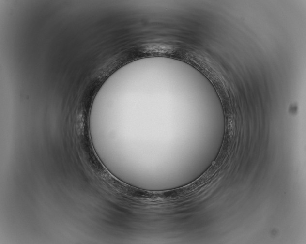 X0000097960551200803241044
