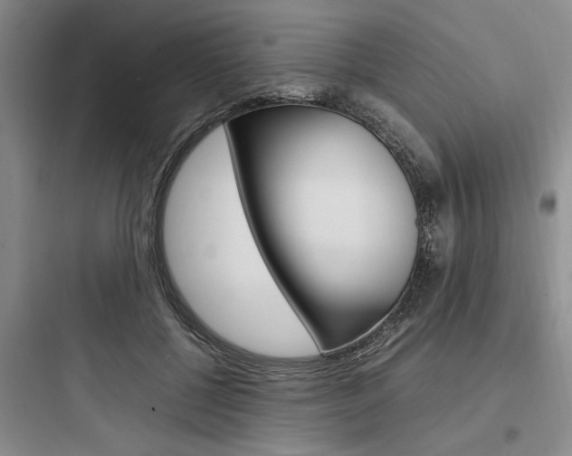 X0000097960552200803241044
