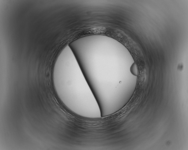 X0000097960553200803241044