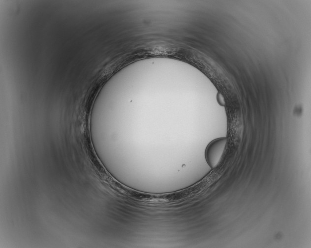 X0000097960554200803241044