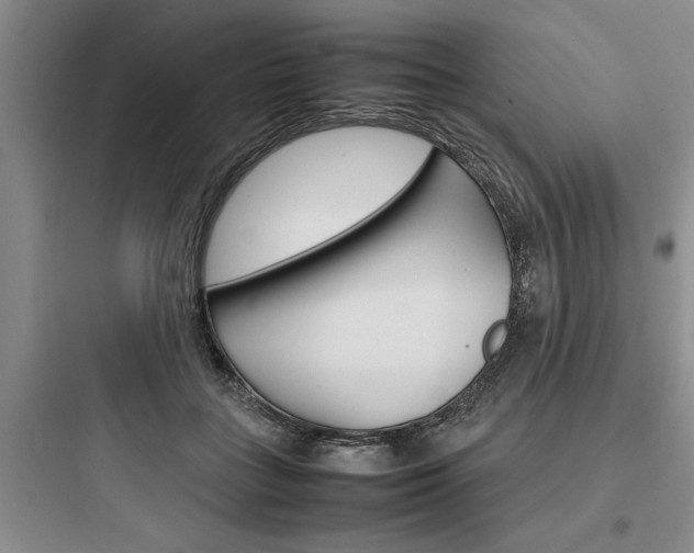 X0000097960555200803241044