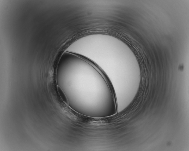 X0000097960556200803241044
