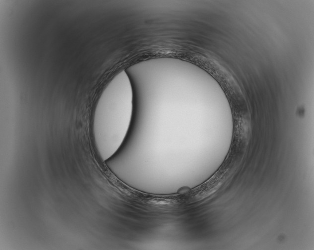 X0000097960557200803241044