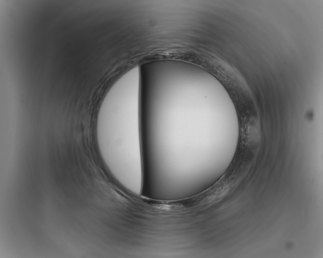 X0000097960558200803241044