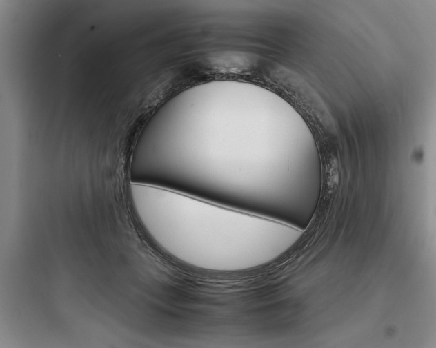 X0000097960559200803241044