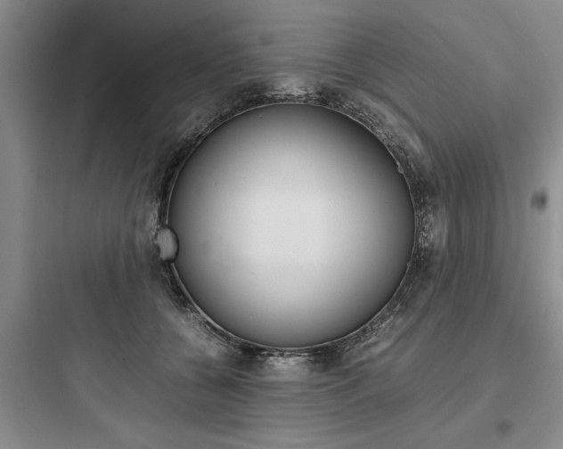 X0000097960560200803241044