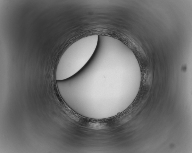 X0000097960561200803241044