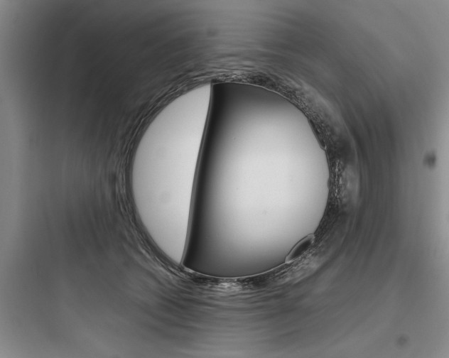 X0000097960562200803241044