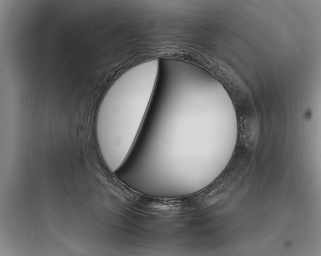 X0000097960563200803241044