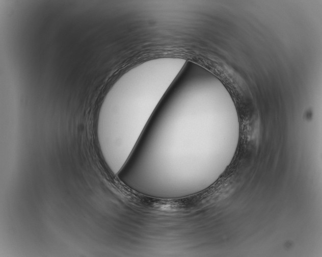 X0000097960564200803241044