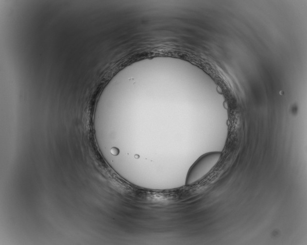 X0000097960565200803241044