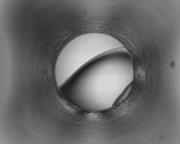 X0000097960566200803241044
