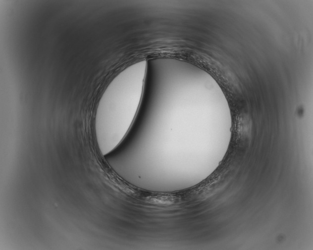 X0000097960567200803241044
