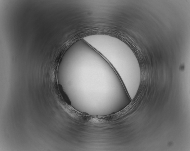 X0000097960568200803241044