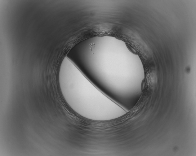 X0000097960570200803241044