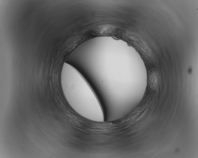 X0000097960571200803241044