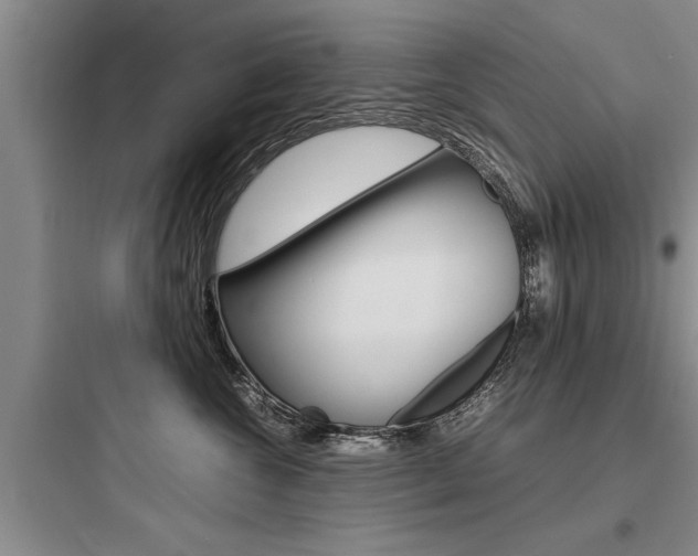 X0000097960572200803241044