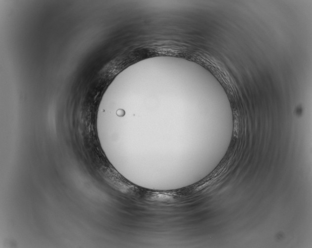X0000097960573200803241044