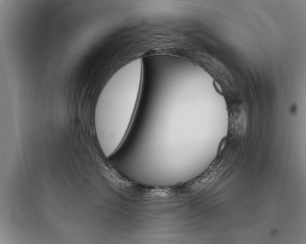 X0000097960574200803241044