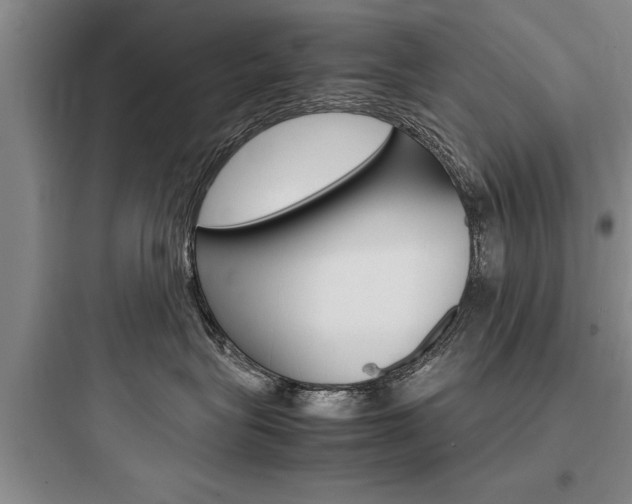 X0000097960575200803241044