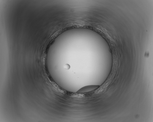 X0000097960576200803241044