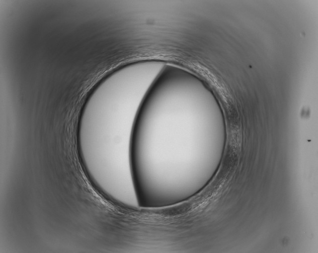 X0000097960577200803241044