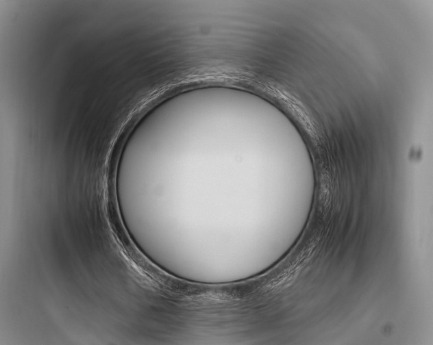 X0000097960578200803241044