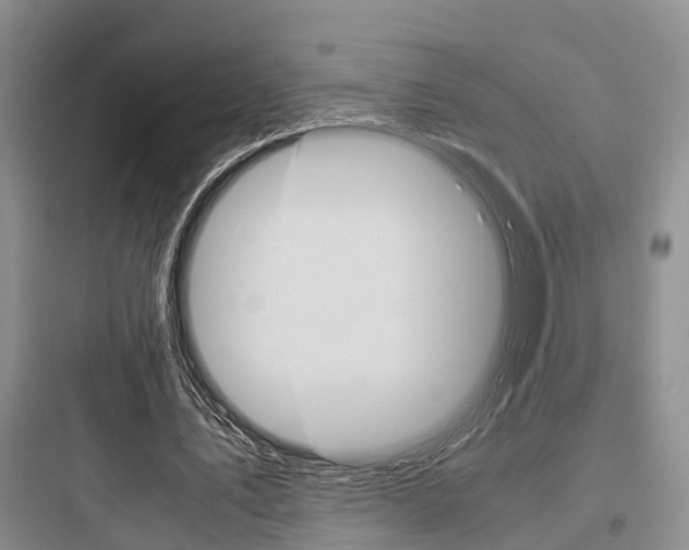 X0000097960579200803241044