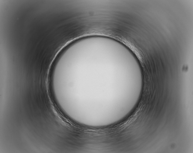 X0000097960580200803241044