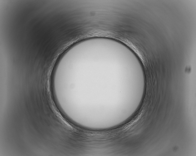 X0000097960581200803241044