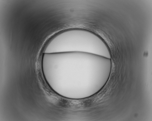 X0000097960583200803241044