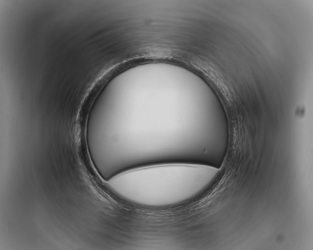 X0000097960584200803241044