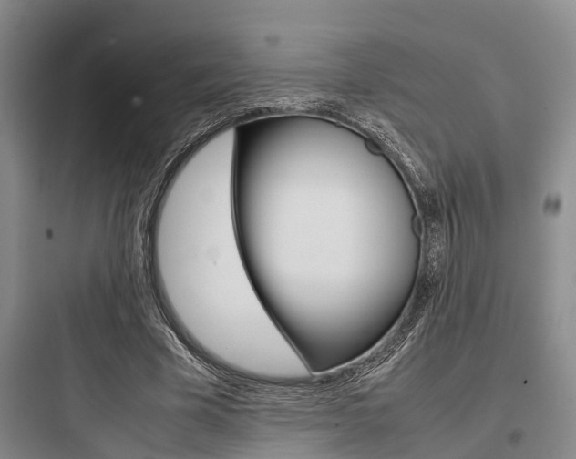 X0000097960585200803241044