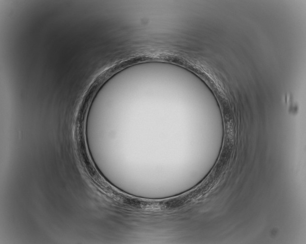 X0000097960587200803241044