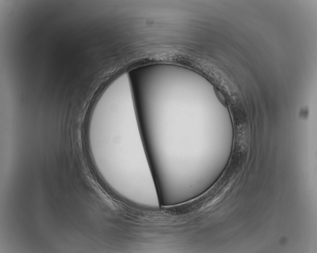 X0000097960589200803241044