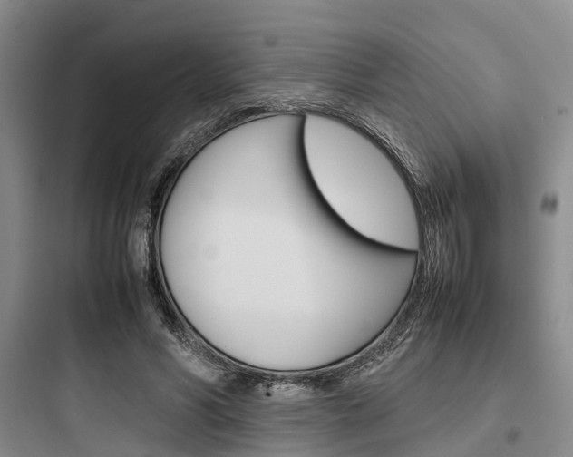X0000097960590200803241044