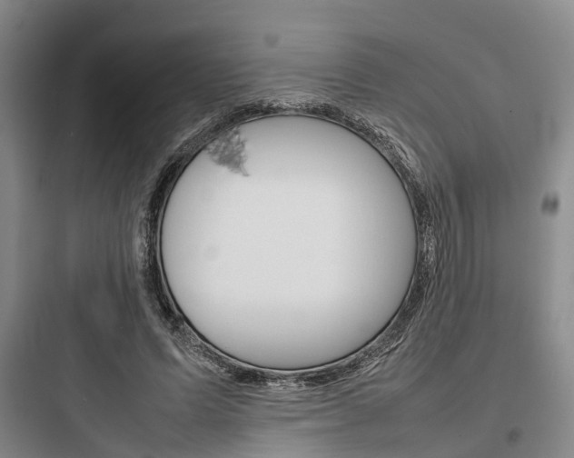 X0000097960591200803241044