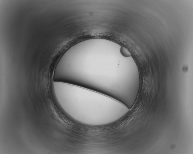 X0000097960592200803241044