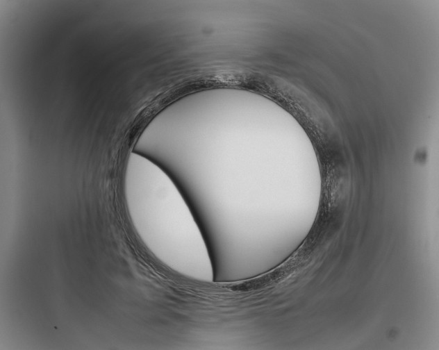 X0000097960595200803241044
