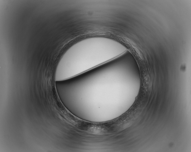 X0000097960596200803241043