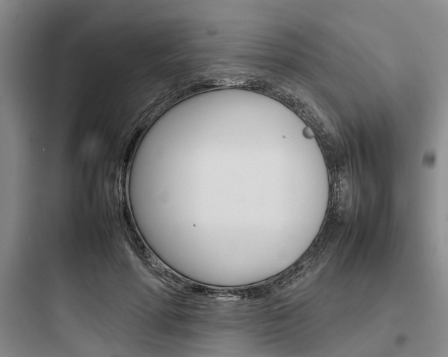 X0000097960598200803241043