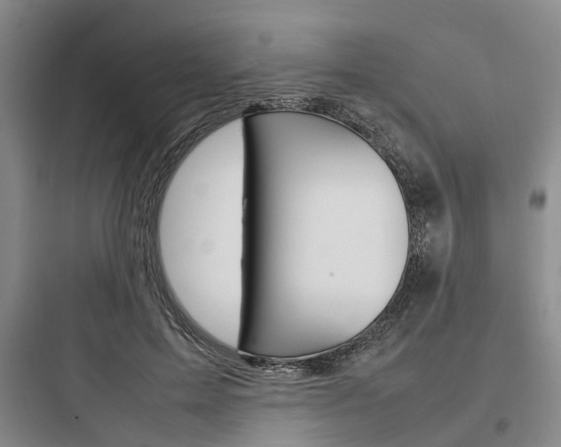 X0000097960599200803241043