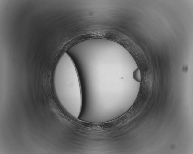 X0000097960600200803241043