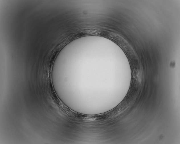 X0000097960602200803241043