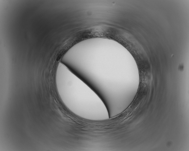 X0000097960603200803241043