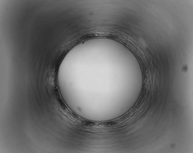 X0000097960604200803241043