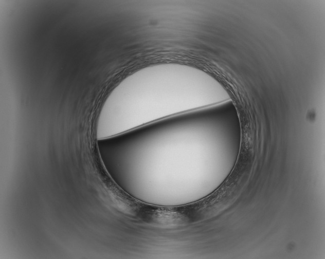 X0000097960605200803241043