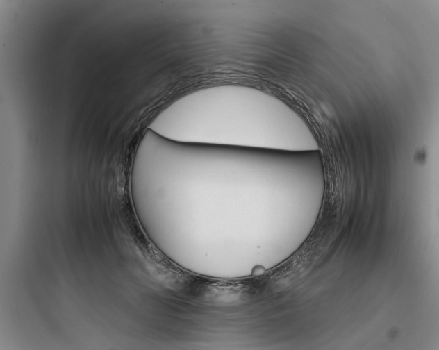 X0000097960606200803241043